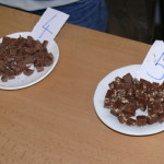 Ochutnávka čokolády - 5. ročník - Informatika (6)