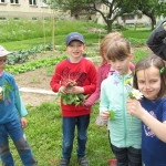 Výuka na školní zahradě - květen 2015 (11)