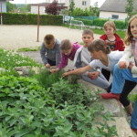 Výuka na školní zahradě - květen 2015 (7)