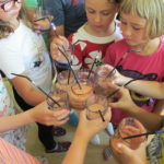 ŠD Smoothie party - 23.6. 2017 (6)