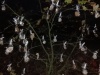 IMG_20191111_170259