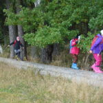 DSC03010
